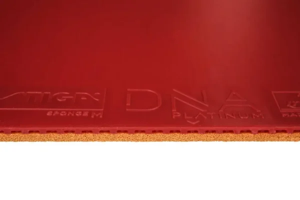 Stiga-DNA-M