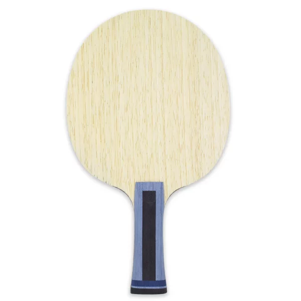Froster 2 Sanwei Froster EX-C - Table Tennis Blade