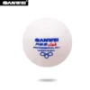 SANWEI ABS Club – Training Ball